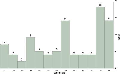 Making Every Step Count: Minute-by-Minute Characterization of Step Counts Augments Remote Activity Monitoring in People With Multiple Sclerosis